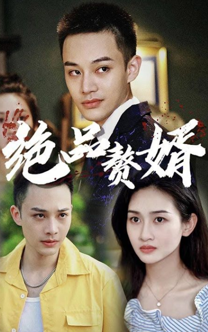 绝品赘婿 第46集
