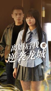 离婚后我要逆袭龙城 第66集