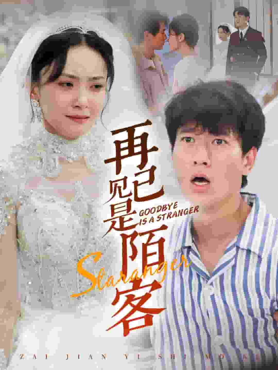 再见已是陌客 第41集