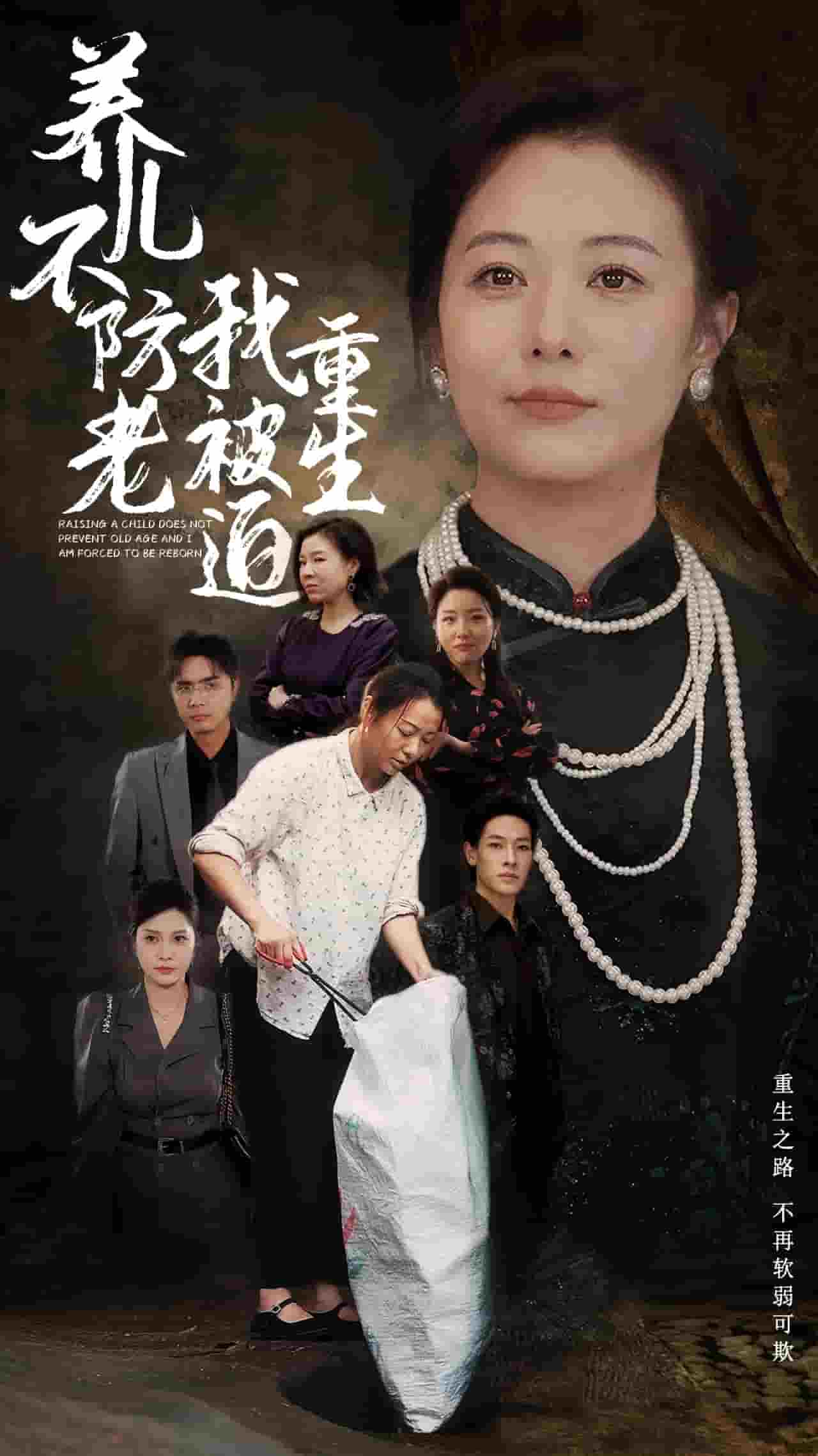 养儿不防老我被迫重生 第19集