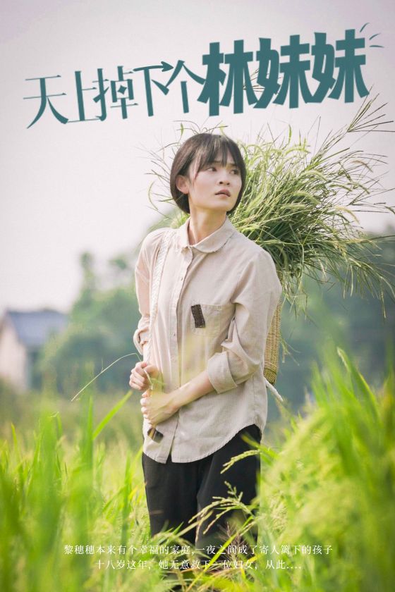 天上掉下个林妹妹 第01集