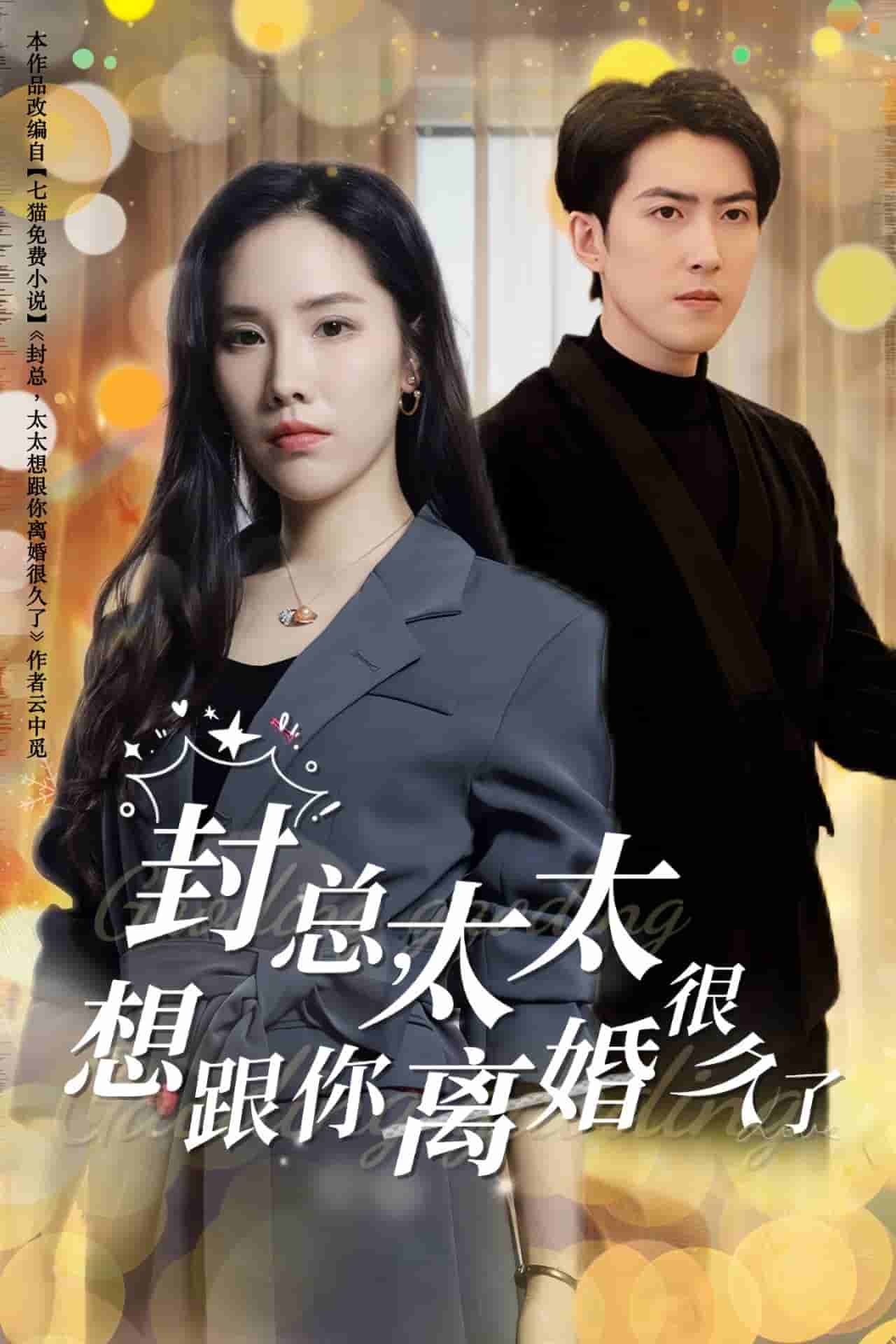 封总太太想跟你离婚很久了 第05集