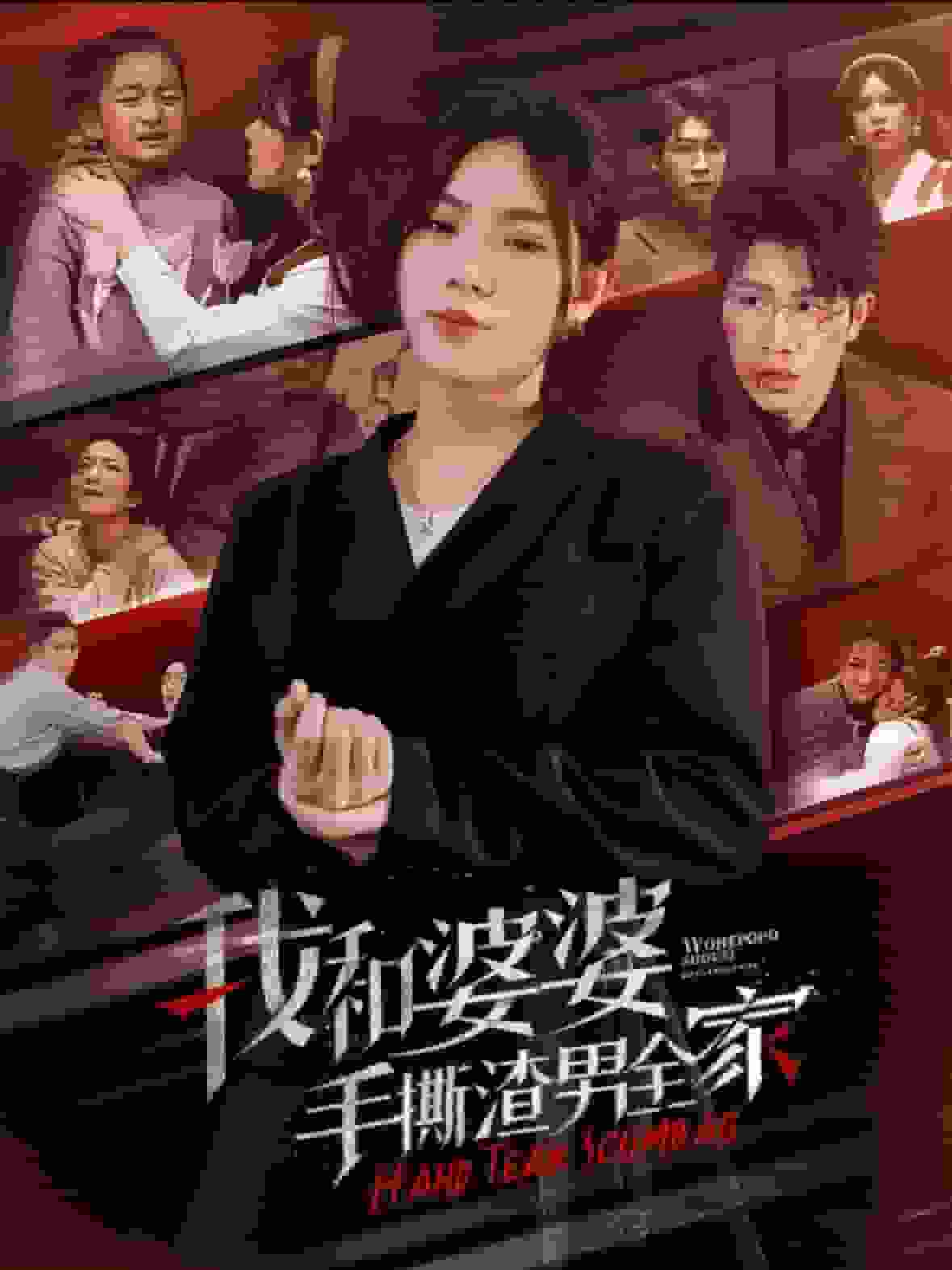 我和婆婆手撕渣男全家 第17集
