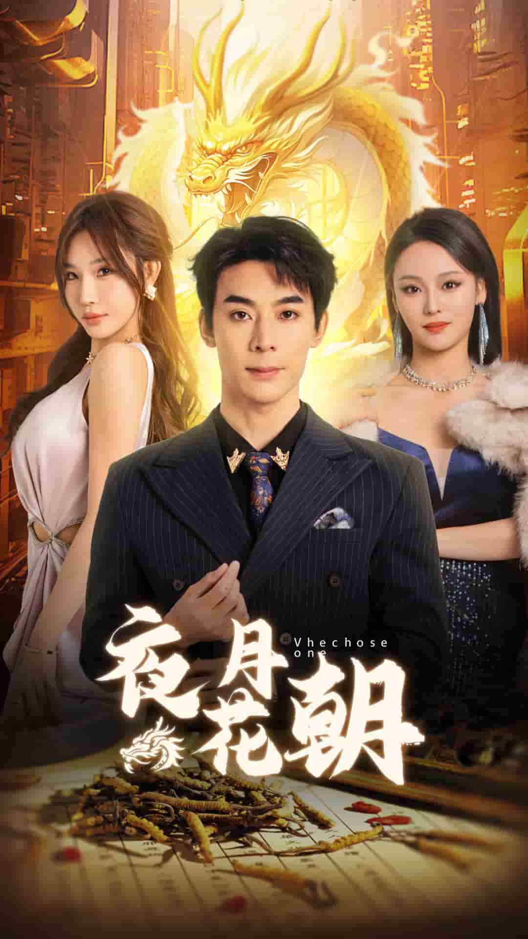 夜月花朝 第4集