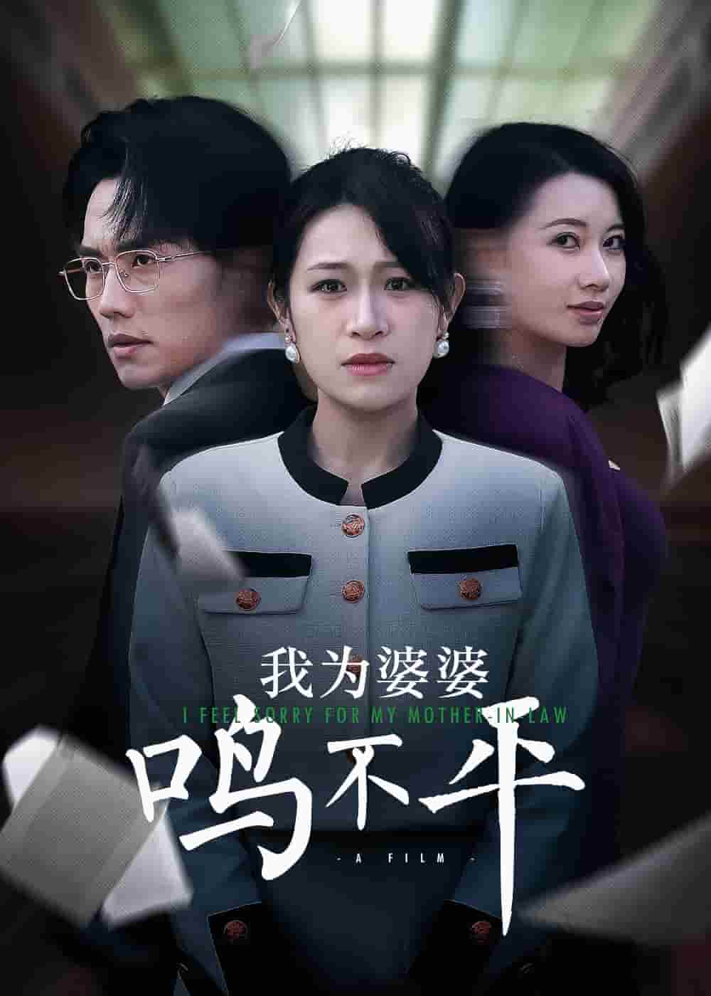 我为婆婆鸣不平 第34集
