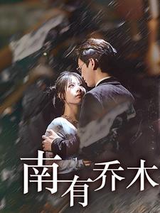 南有乔木 第27集