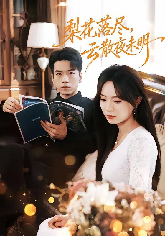 梨花落尽，云散夜未明(全集)
