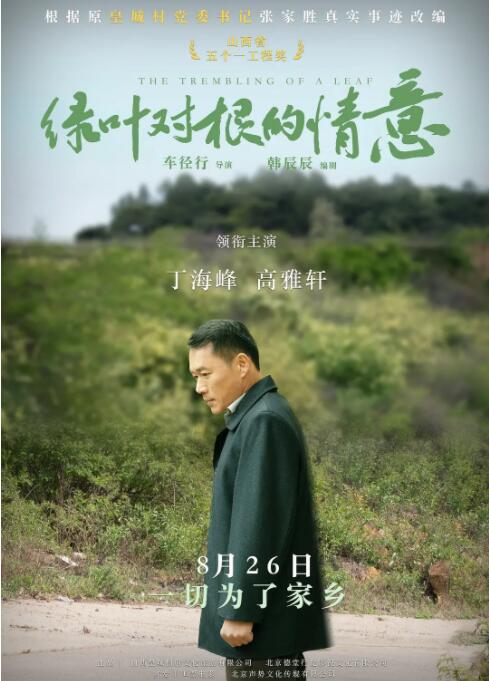 绿叶对根的情意(全集)